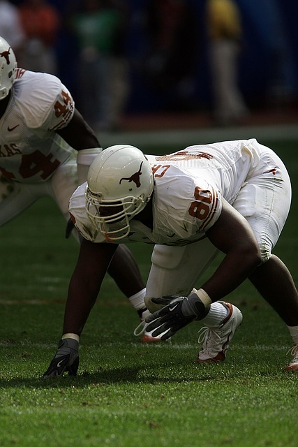 展示的平台 展示的平台