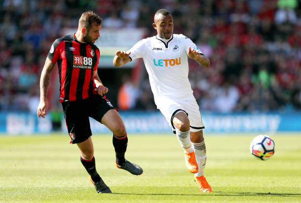 了理解与欣 了理解与欣